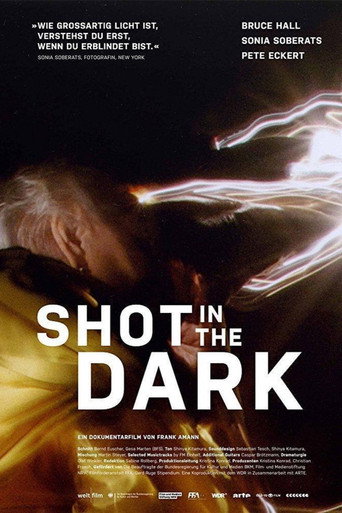 Shot in the Dark movie poster