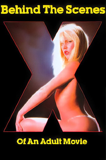 Behind the Scenes of an Adult Movie movie poster