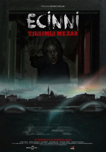 Ecinni: Tilsimli Mezar movie poster