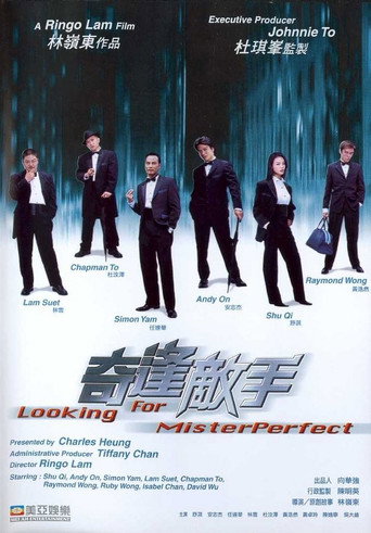Looking for Mr. Perfect movie poster