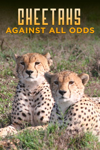 Cheetahs Against All Odds movie poster