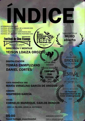 Index movie poster