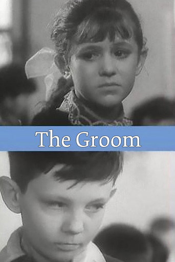 The Groom movie poster