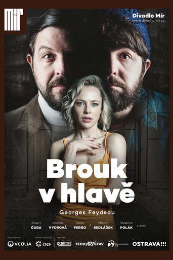 Brouk v hlavě movie poster