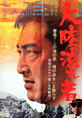 Continental Drifter movie poster