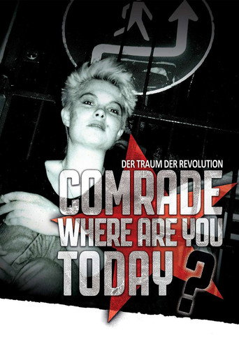 Comrade, Where Are You Today? movie poster
