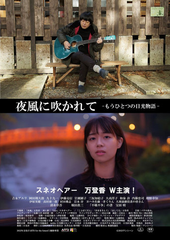 夜風に吹かれて もうひとつの日光物語 movie poster