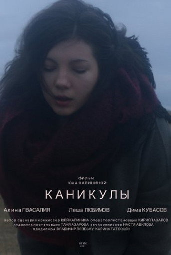 Holidays movie poster