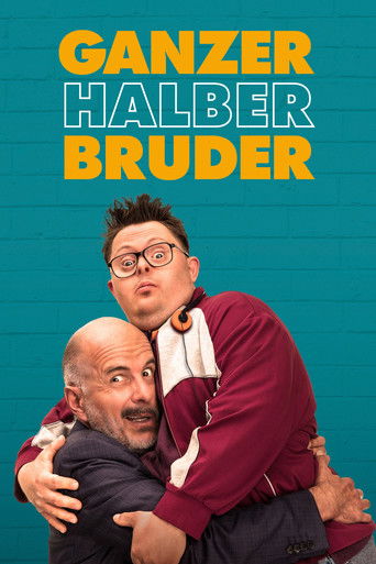 Almost Brothers movie poster