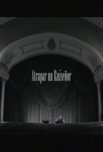 Atrapar un ruiseñor movie poster