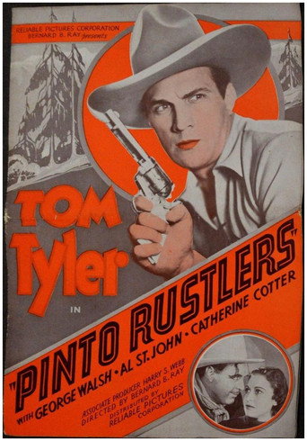 Pinto Rustlers movie poster