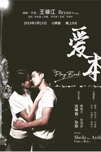 The Playbook movie poster