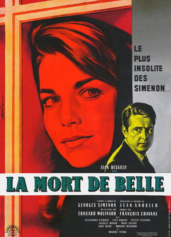 The Passion of Slow Fire movie poster