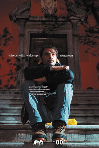 Where Will I Wake Up Tomorrow? movie poster