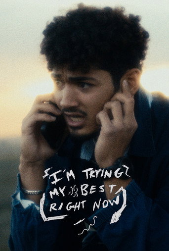 I'm Trying My Best Right Now movie poster
