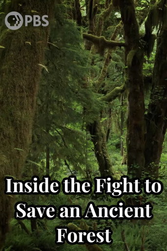 Inside the Fight to Save an Ancient Forest (and the Secrets it Holds) movie poster
