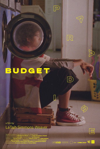 Budget Paradise movie poster