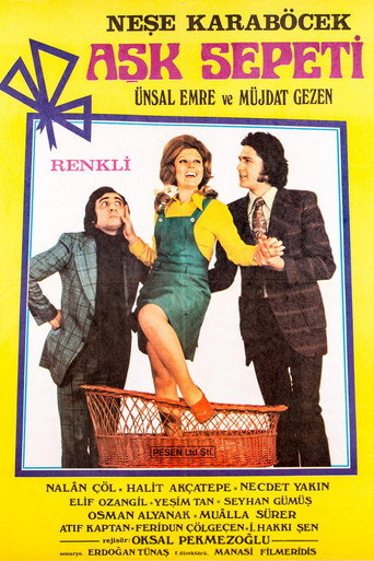 Aşk Sepeti movie poster