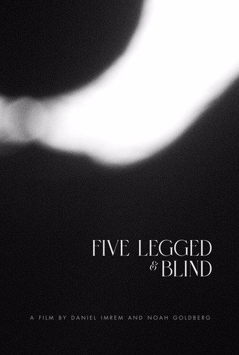 Five Legged & Blind movie poster