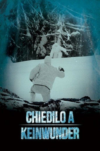 Chiedilo a Keinwunder movie poster