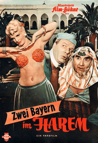 Zwei Bayern im Harem movie poster
