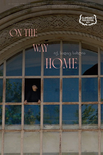 On the Way Home movie poster
