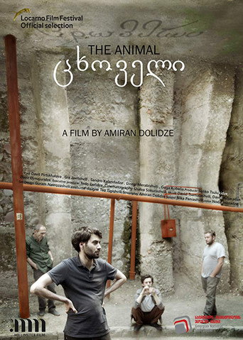 The Animal movie poster