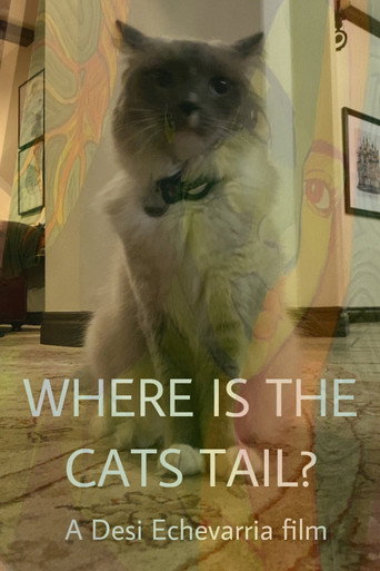 Where Is The Cat's Tail? movie poster
