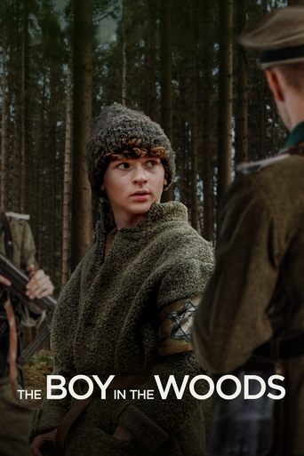 The Boy in the Woods movie poster