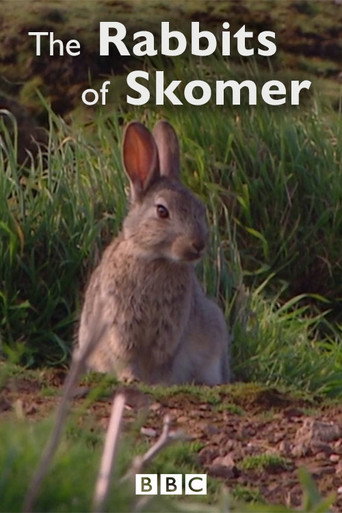 The Rabbits of Skomer movie poster
