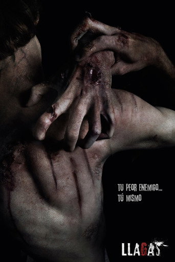 Llagas movie poster