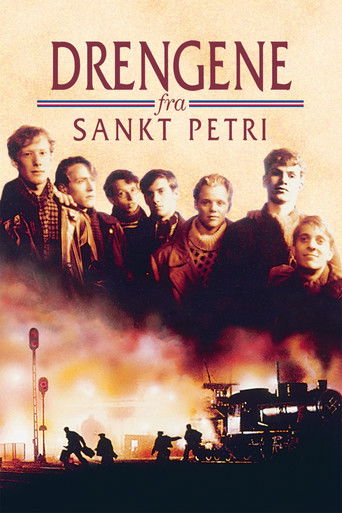 The Boys from St. Petri movie poster