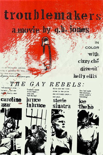 The Troublemakers movie poster