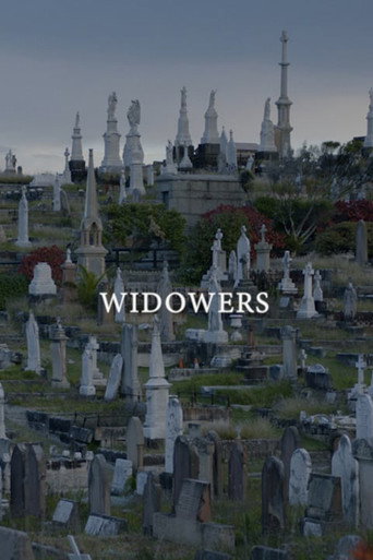 Widowers movie poster