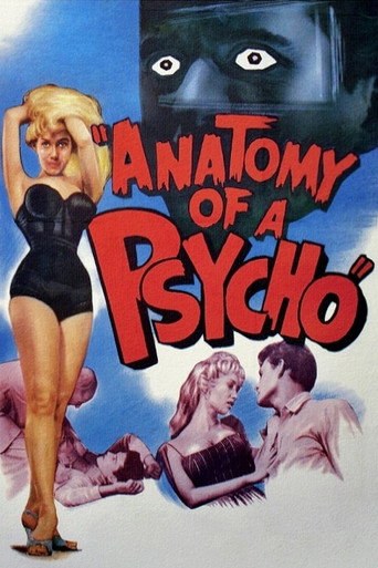Anatomy of a Psycho movie poster