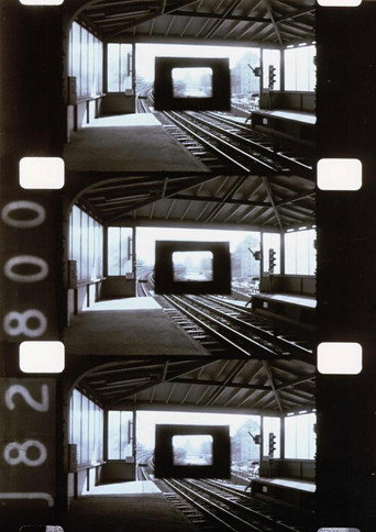 Diminished Frame movie poster
