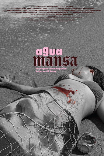 Agua Mansa movie poster