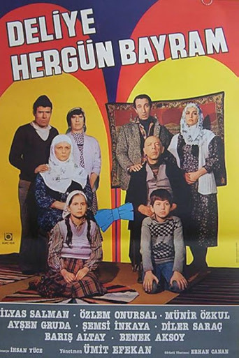 Deliye Hergün Bayram movie poster
