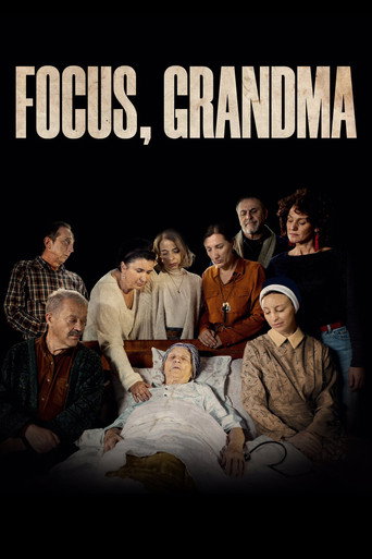 Focus, Grandma movie poster