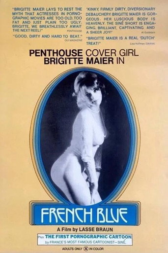 French Blue movie poster