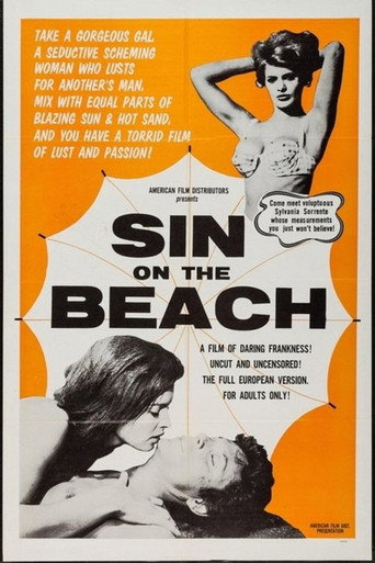 Sin on the Beach movie poster