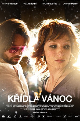 Wings of Christmas movie poster