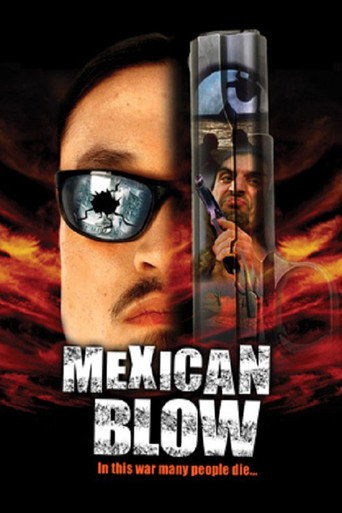Mexican Blow movie poster
