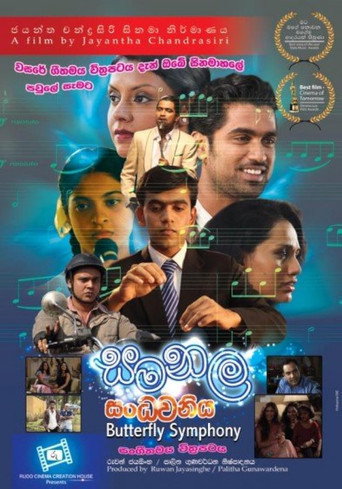 Butterfly Symphony movie poster
