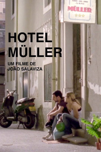 Hotel Müller movie poster