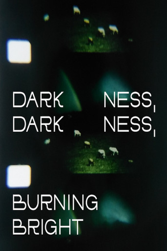 Darkness, Darkness, Burning Bright movie poster