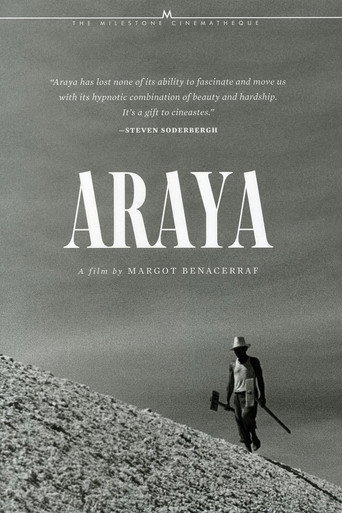 Araya movie poster