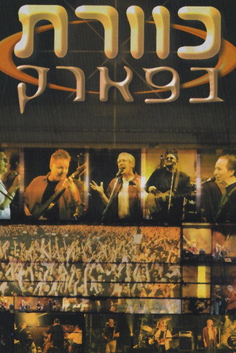 Kaveret in the Park movie poster