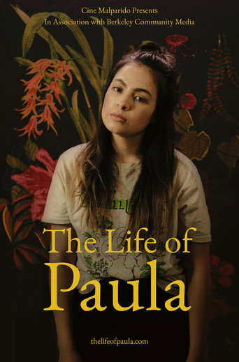 The Life of Paula movie poster