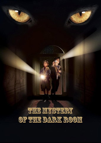 A Dark Room Mystery movie poster